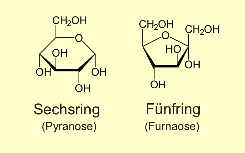 <i>Pyranose</i> - <i>Furanose</i>